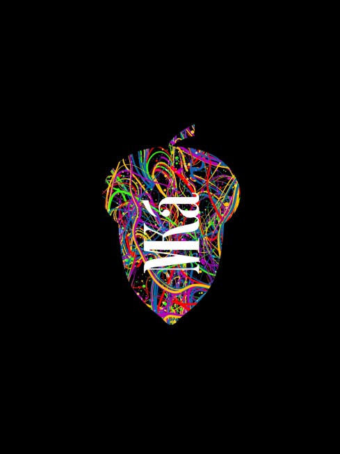 Шелковый (Бахмаль) клатч (S) TURMERIC MISTERIUM! Clutch_TURMERIC MISTERIUM!/S